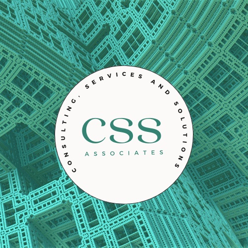 CSS Logo